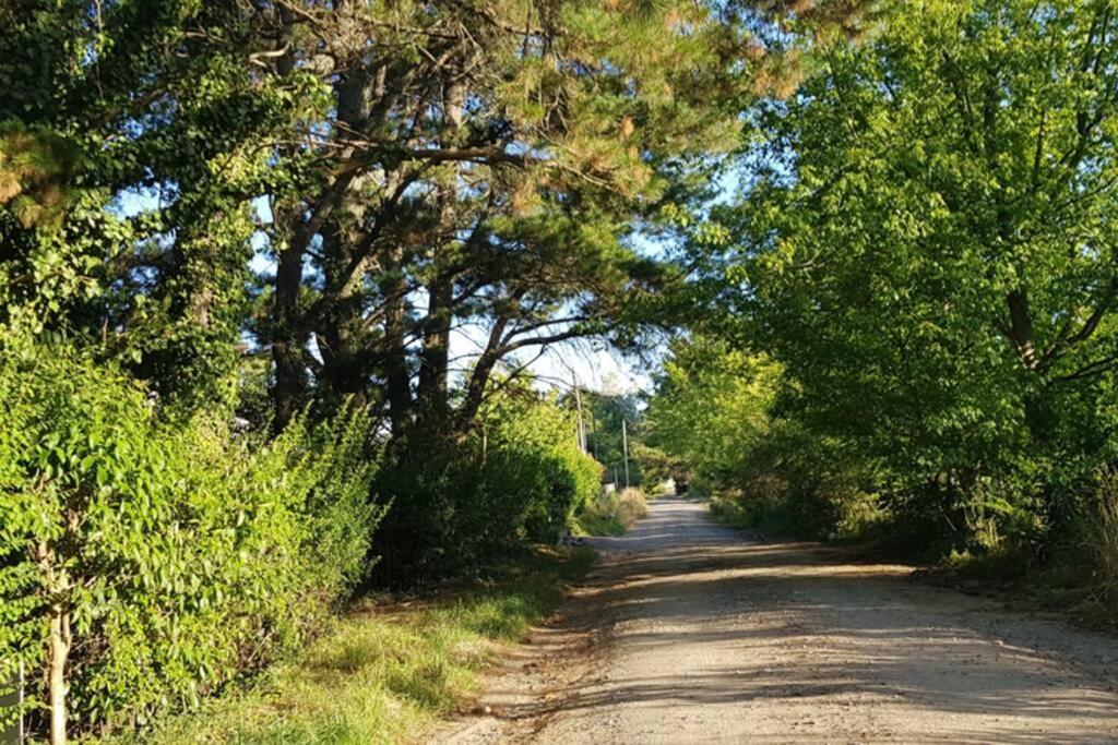 Cabana Los Robles Tandil Eksteriør bilde